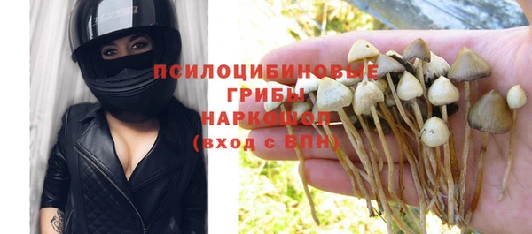 МДПВ Медвежьегорск