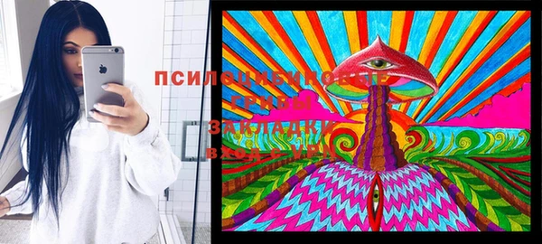 а пвп мука Кстово