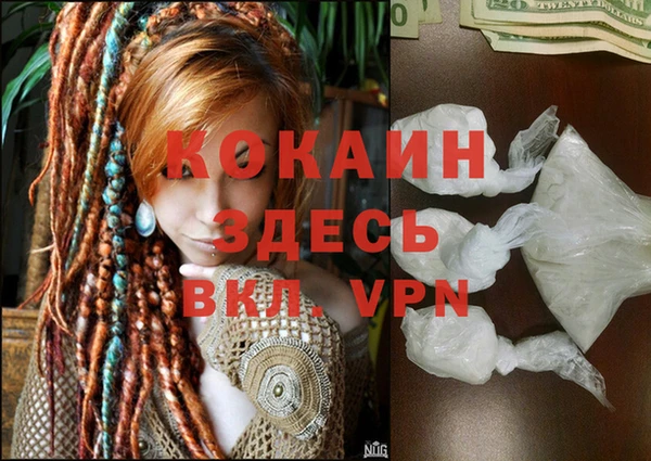стаф Магас