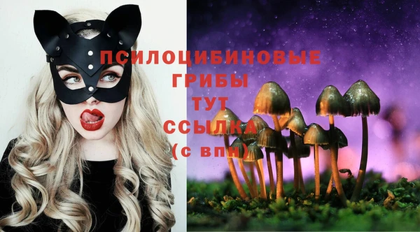 герыч Медногорск