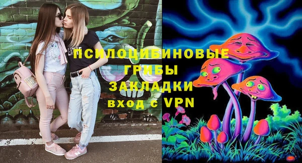 Альфа ПВП Майский