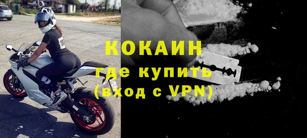 стаф Магас
