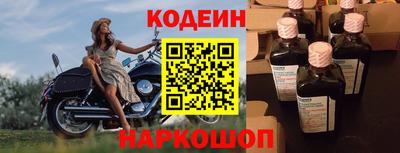 стаф Кингисепп