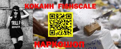 стаф Кингисепп