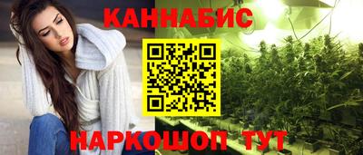 стаф Кингисепп