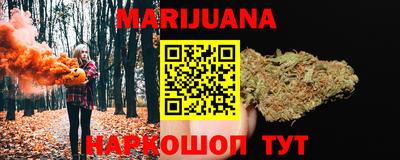 стаф Кингисепп