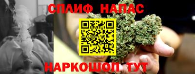 стаф Кингисепп