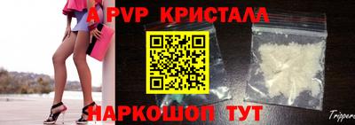 стаф Кингисепп