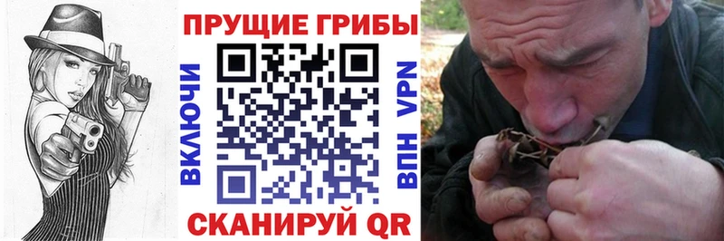 площадка состав  Наро-Фоминск  Псилоцибиновые грибы Magic Shrooms 