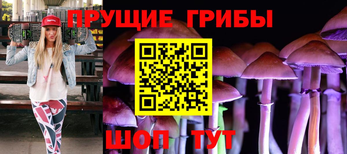 Галлюциногенные грибы Cubensis Наро-Фоминск